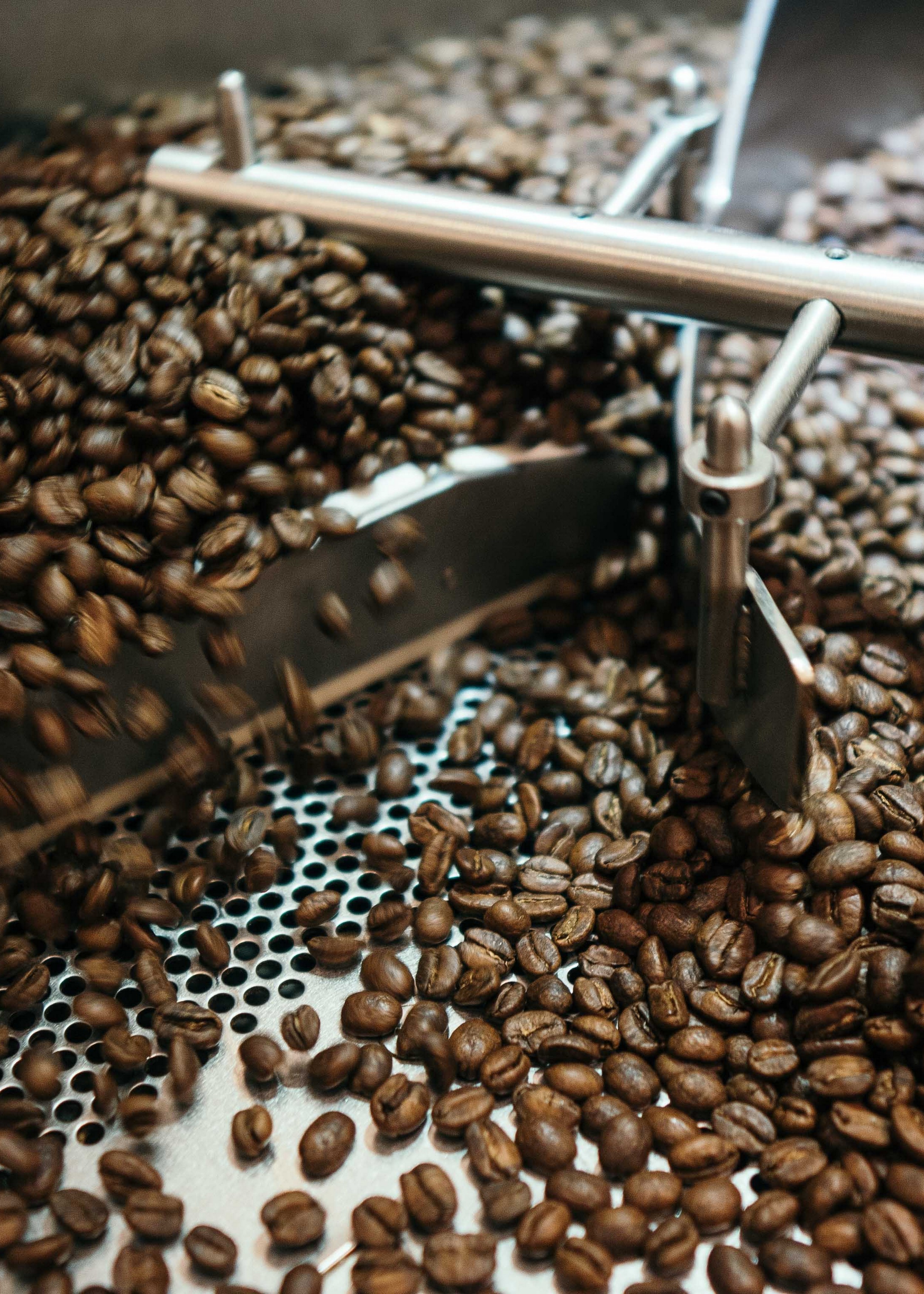 Quality Sarang Coffee